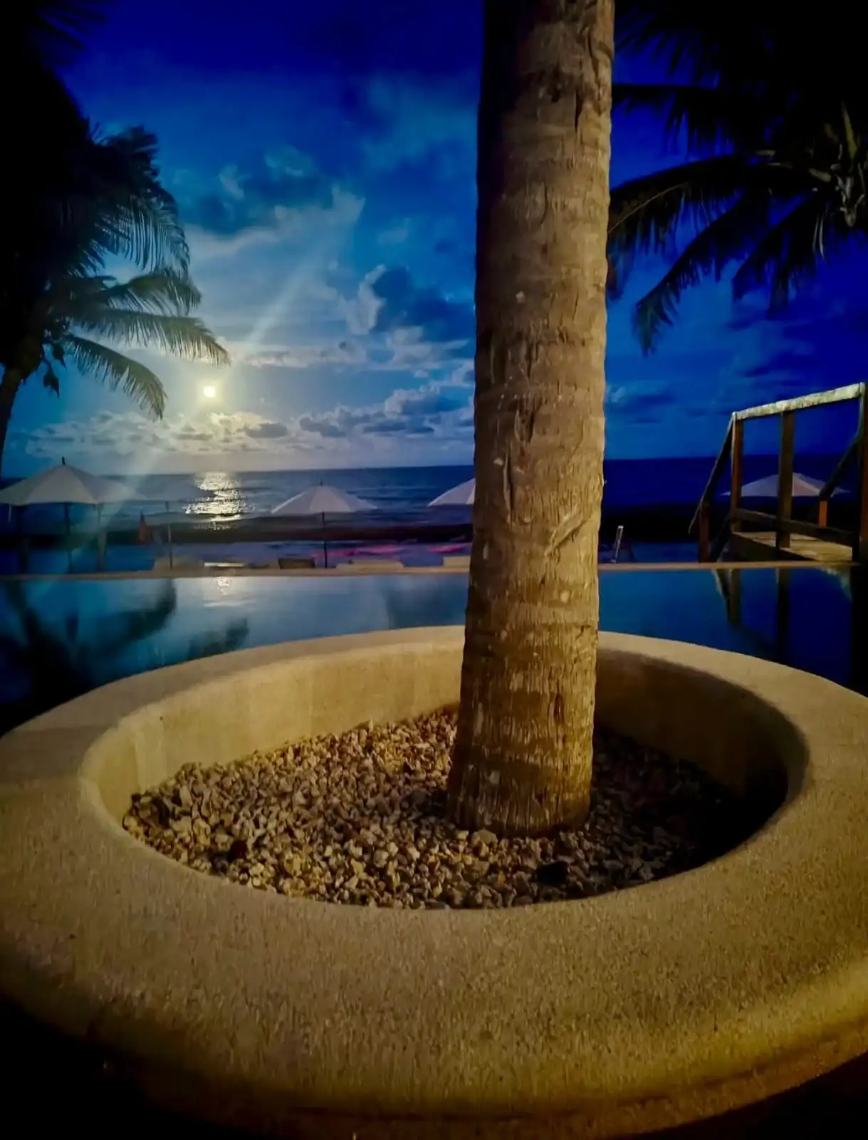 La luna sobre el mar de noche, con su reflejo en el agua, y en primer plano el brocal de grava de una palmera junto a la alberca.