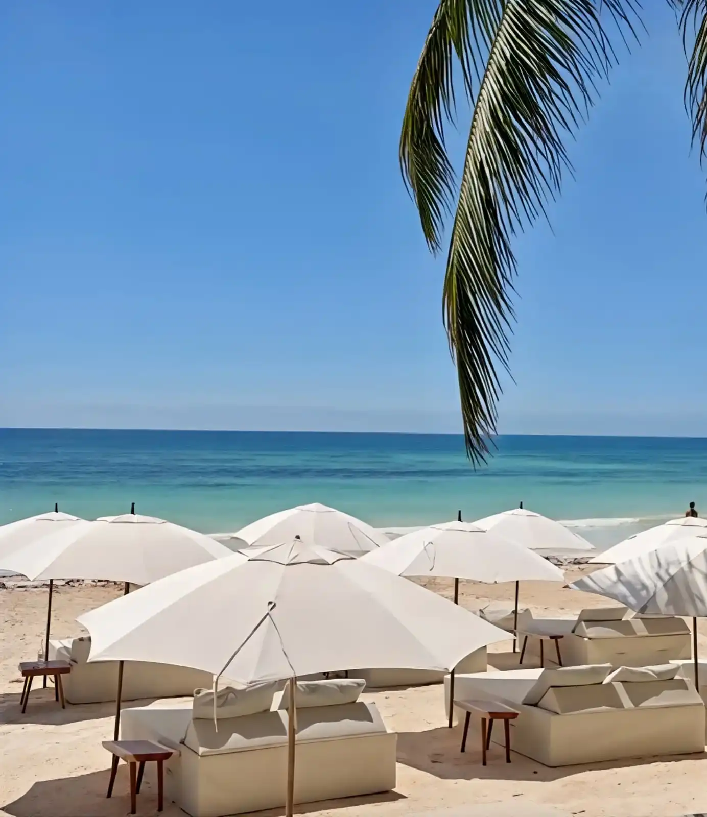 Camas de playa bajo sombrillas blancas sobre la arena, frente al mar turquesa, con una hoja de palma en lo alto.