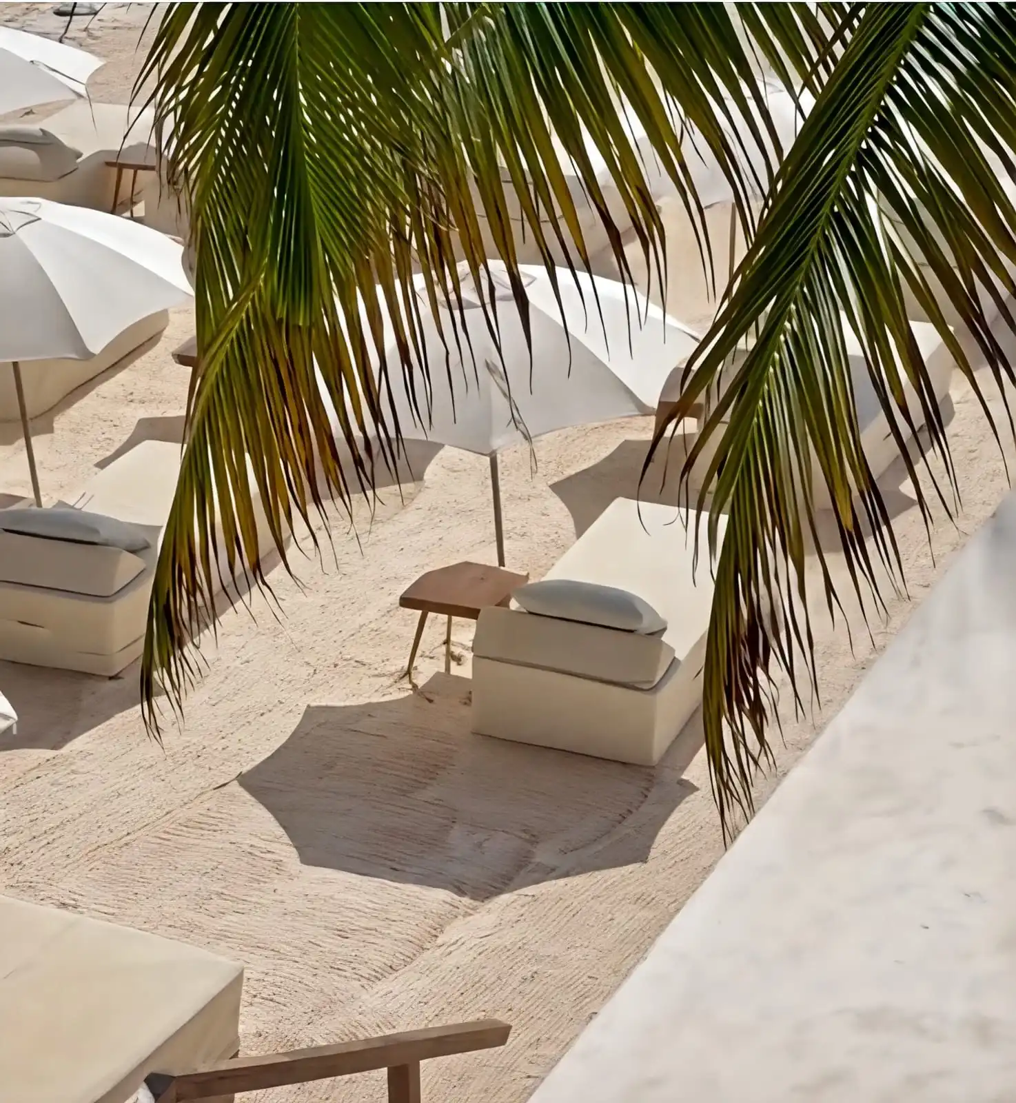 Las camas de playa y sus sombrillas, vistas desde arriba entre las hojas de una palmera.