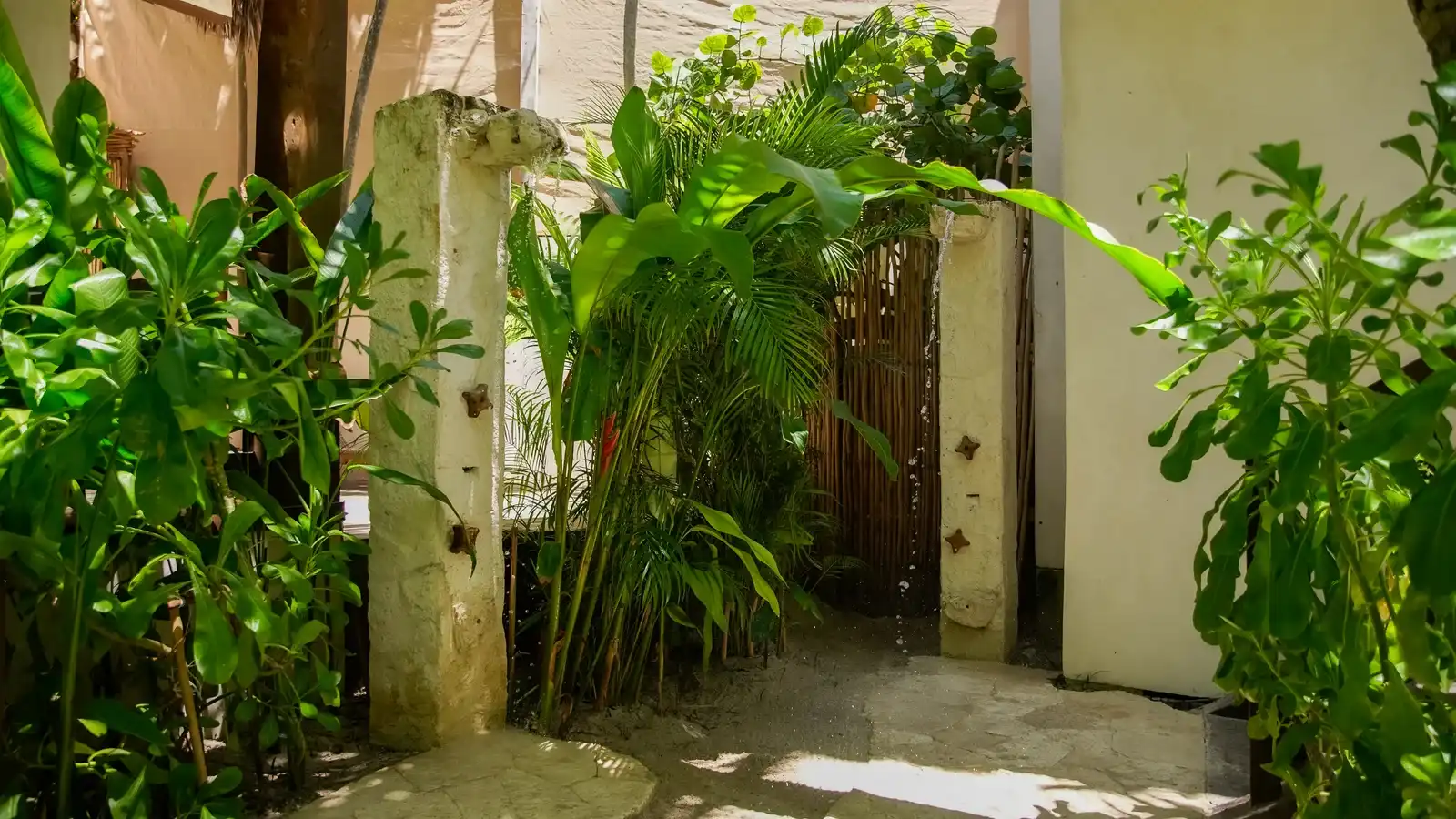Bungalow Arrecife, fotografía 11