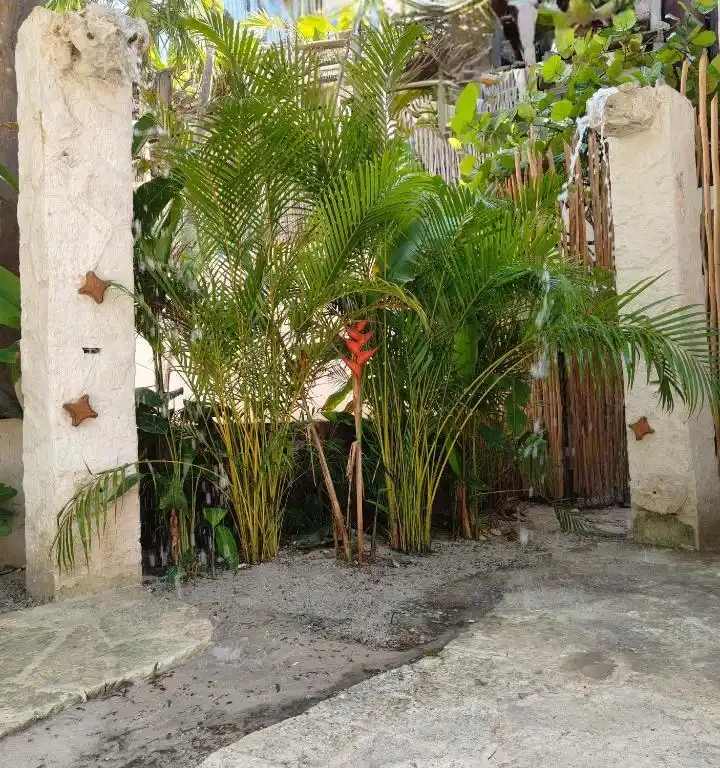 Bungalow Agua, photo 11