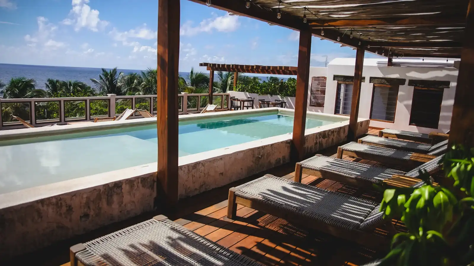 The rooftop pool from the far end, with the loungers lined up along one side.