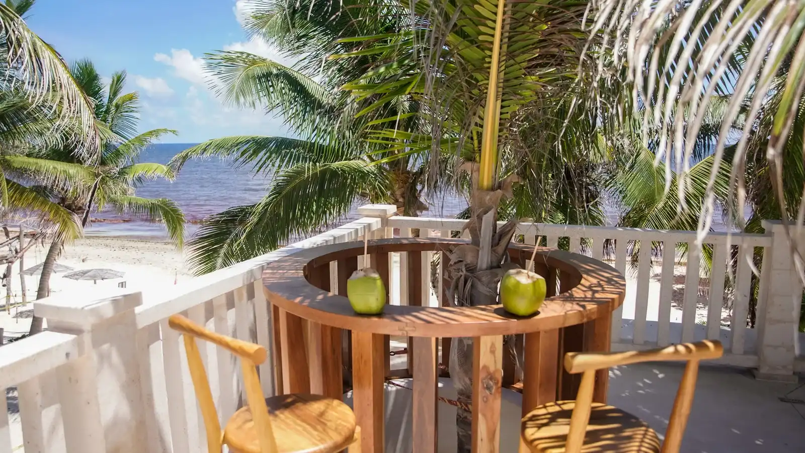 A tall wooden table with green coconuts and stools, on a terrace facing the palms and the sea.