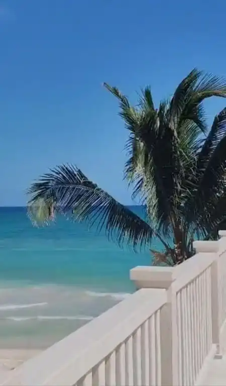 A palm tree and the sea, from a balcony with a white balustrade.