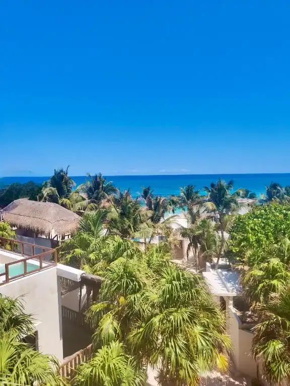 A terrace above the palm crowns, with the sea beyond.
