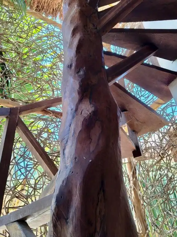 Bungalow Aire, fotografía 10