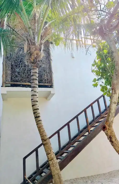 Bungalow Aire, fotografía 1