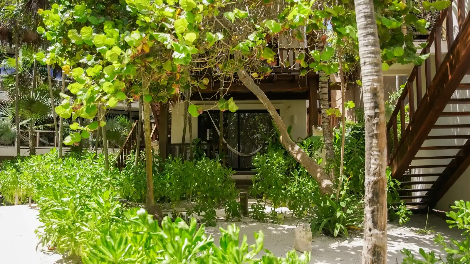 A wooden staircase among the greenery, with a creeper covering the wall.