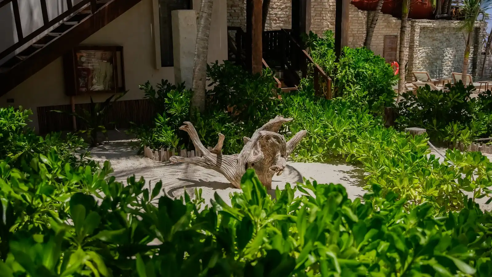 A garden with a piece of driftwood on the sand and a staircase behind.