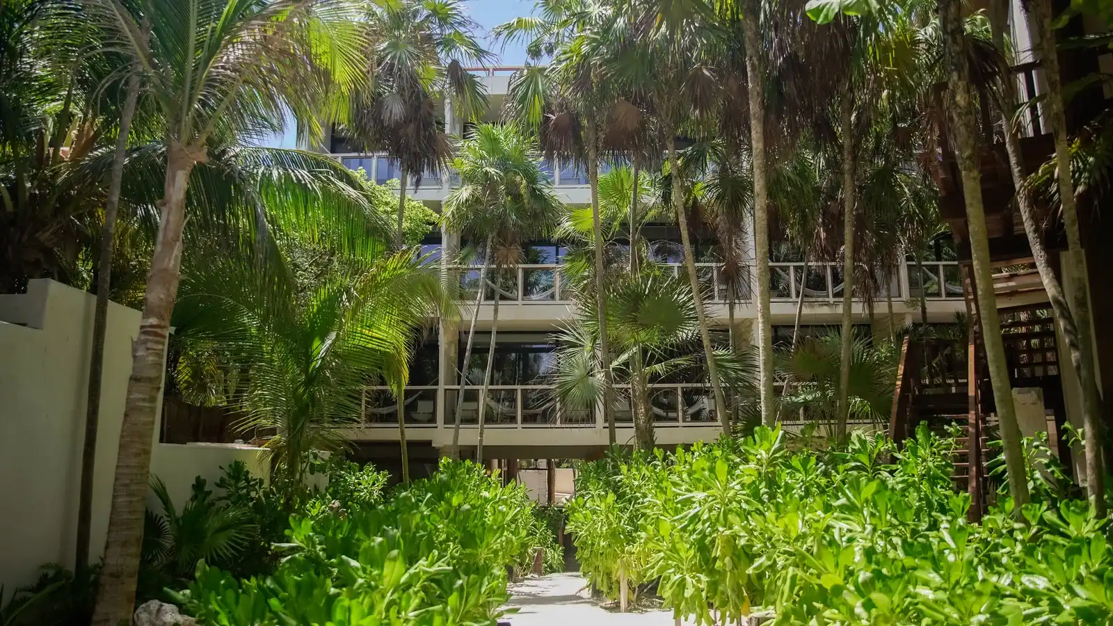 The facade of the rooms with their balconies, among the palm trees.