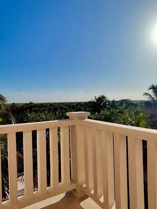 Deluxe King Room · Jungle views, photo 10