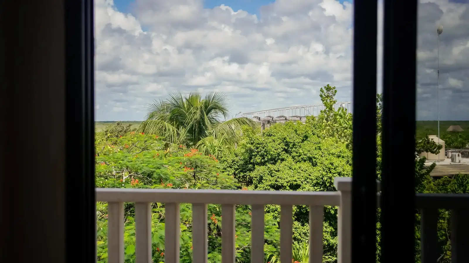 Deluxe King Room · Jungle views, photo 12