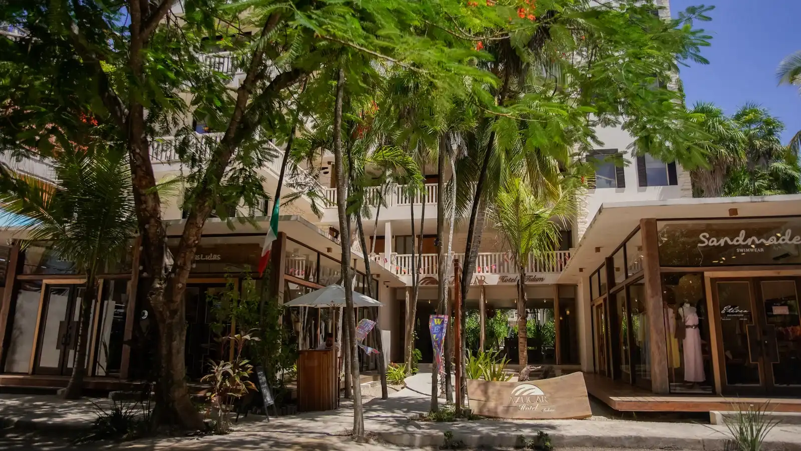 The street in front of the hotel, with palm trees and the shopfronts along it.