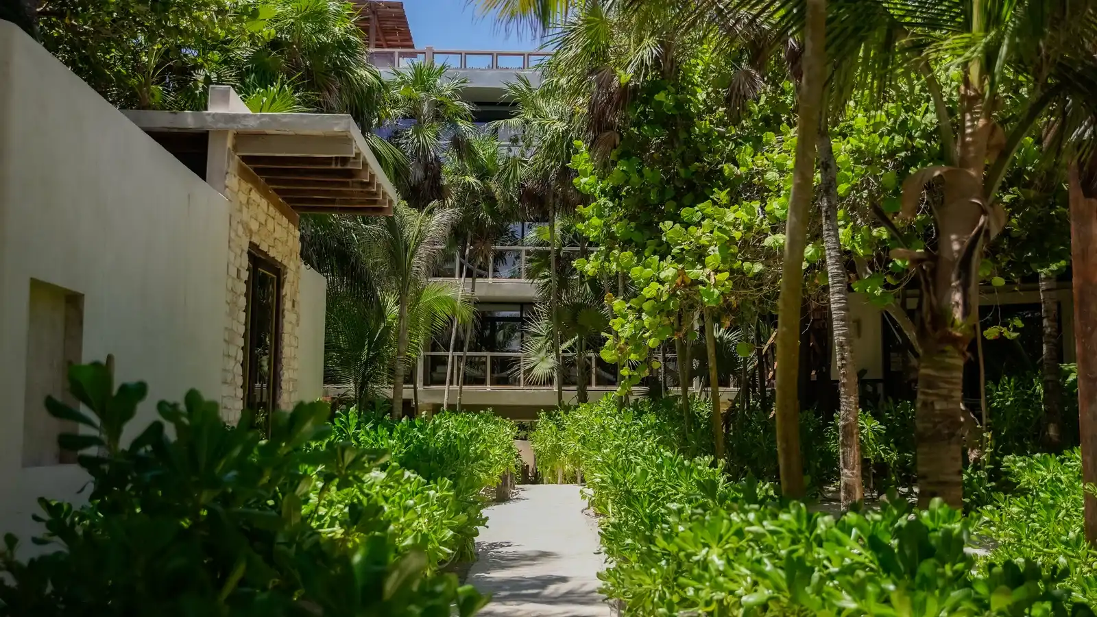 A walkway between the hotel buildings, with greenery on both sides.
