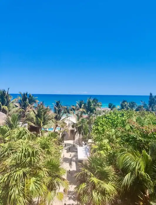 View from above: the palms of the hotel garden and, beyond them, the blue band of the Caribbean.