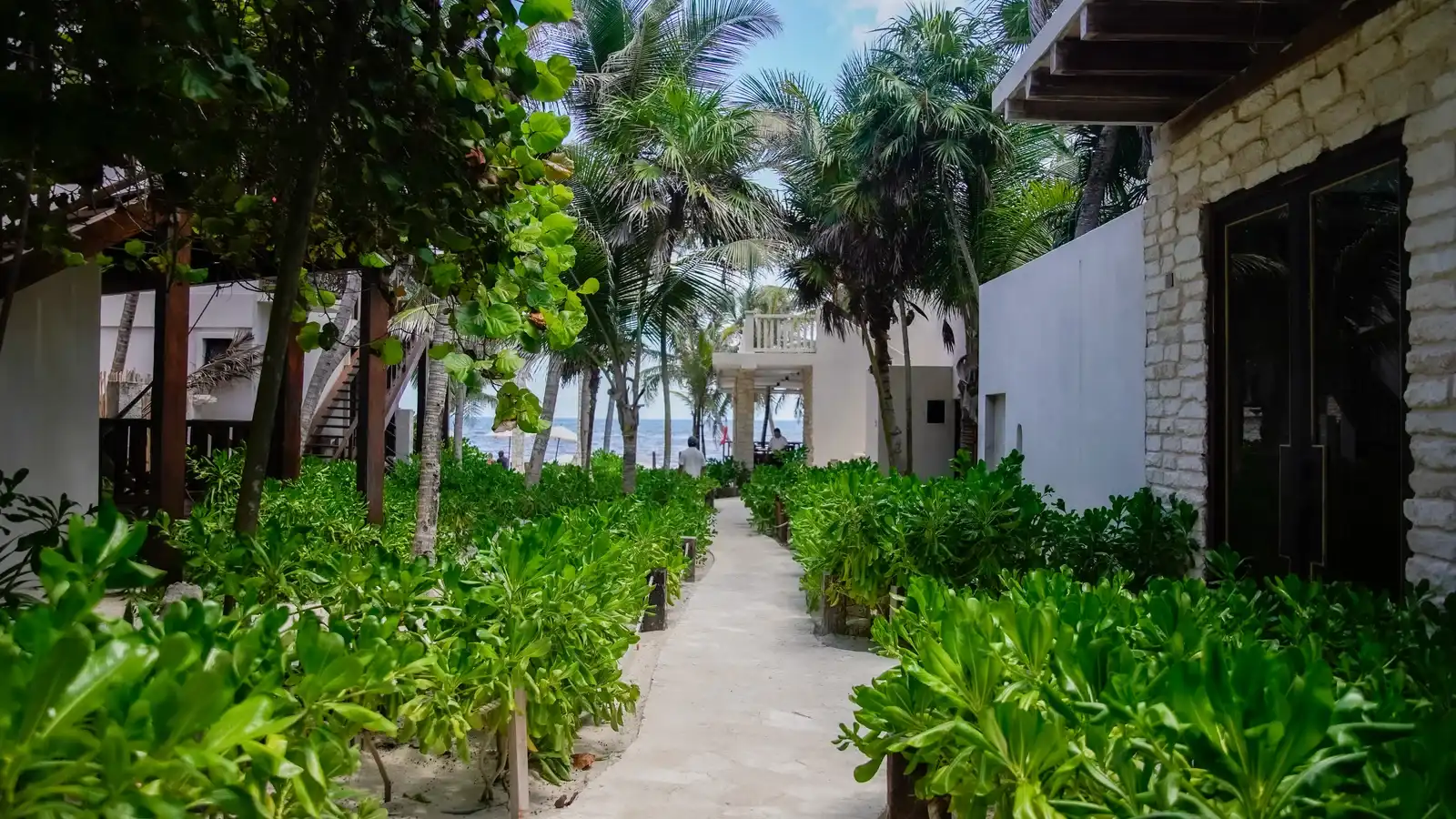 A sand path between the white buildings, with greenery on both sides and the sea at the end.