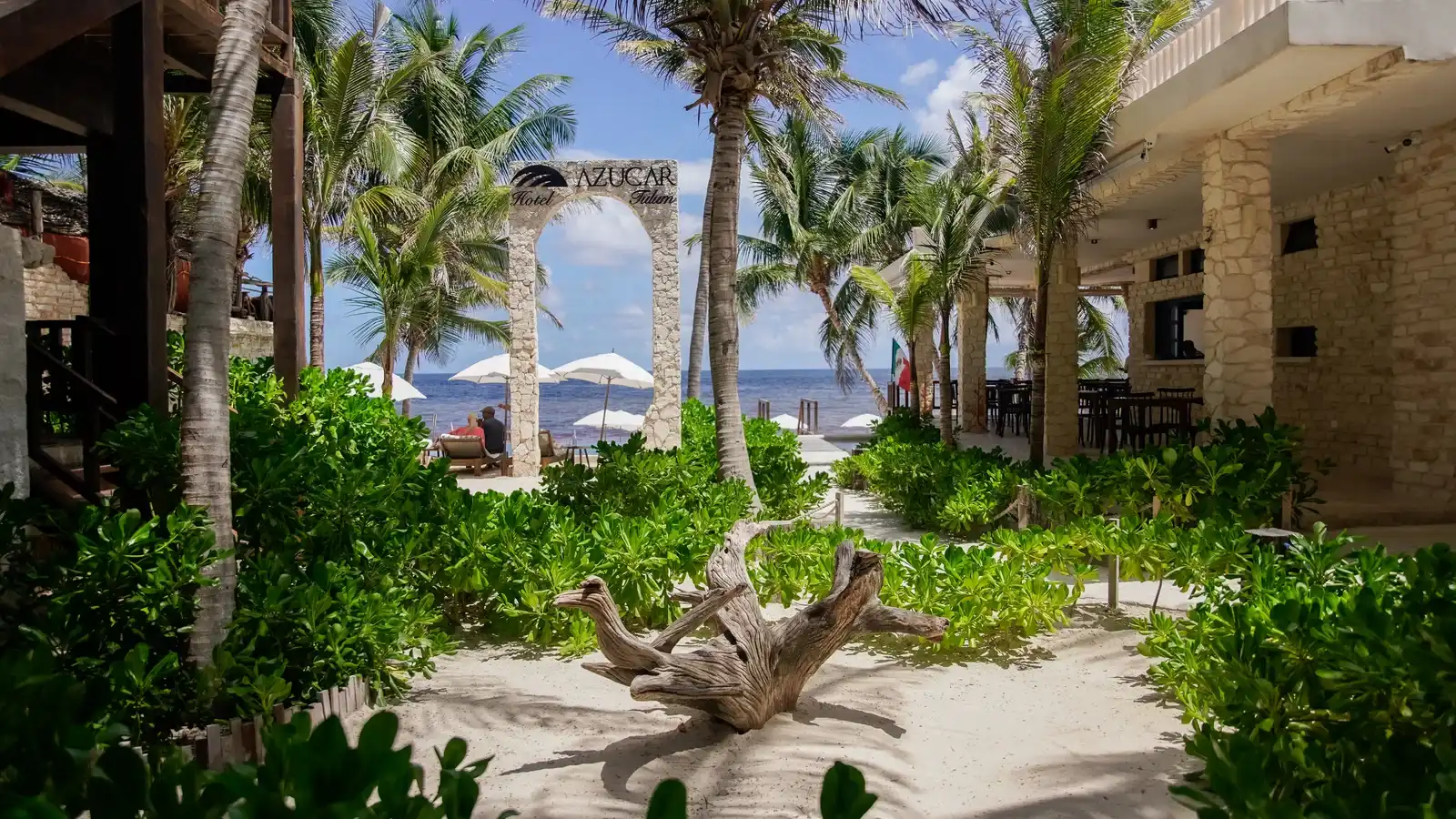 The stone arch on the sand, with a piece of driftwood, the dune greenery and the sea.