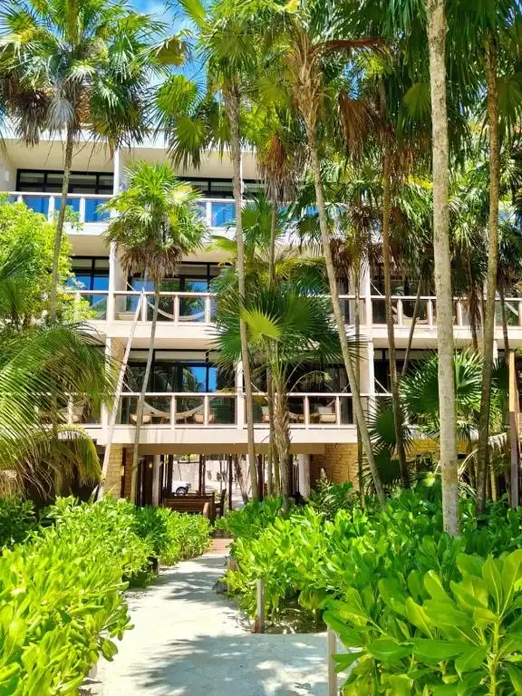 The hotel buildings among the palms, seen from the garden.