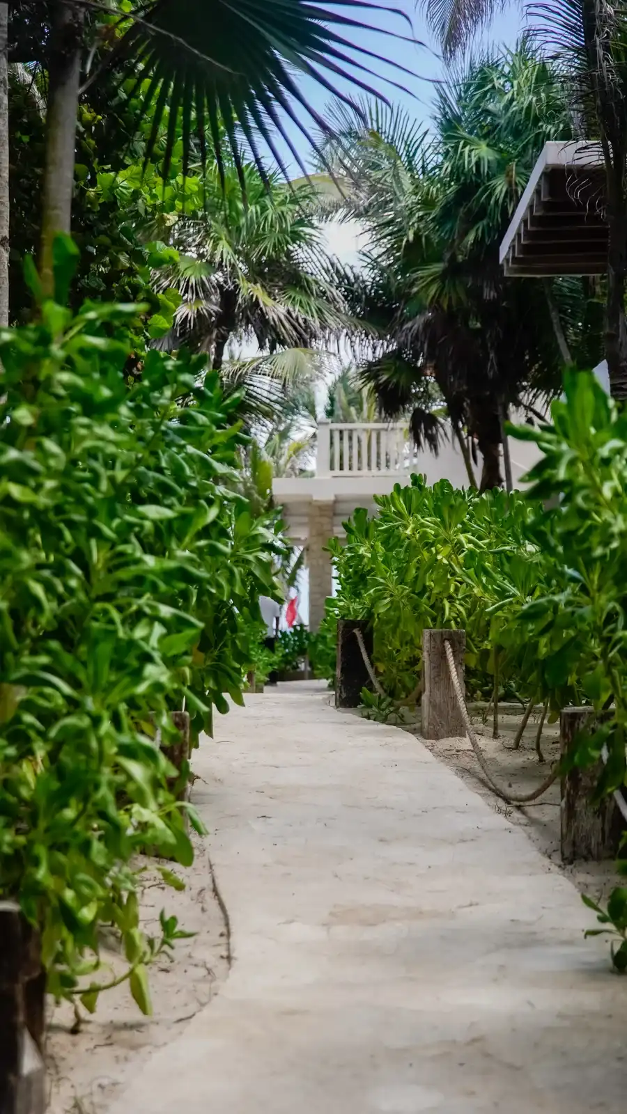 A concrete path through the greenery, leading into the hotel.