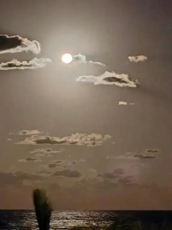 A full moon over the sea, through the clouds.
