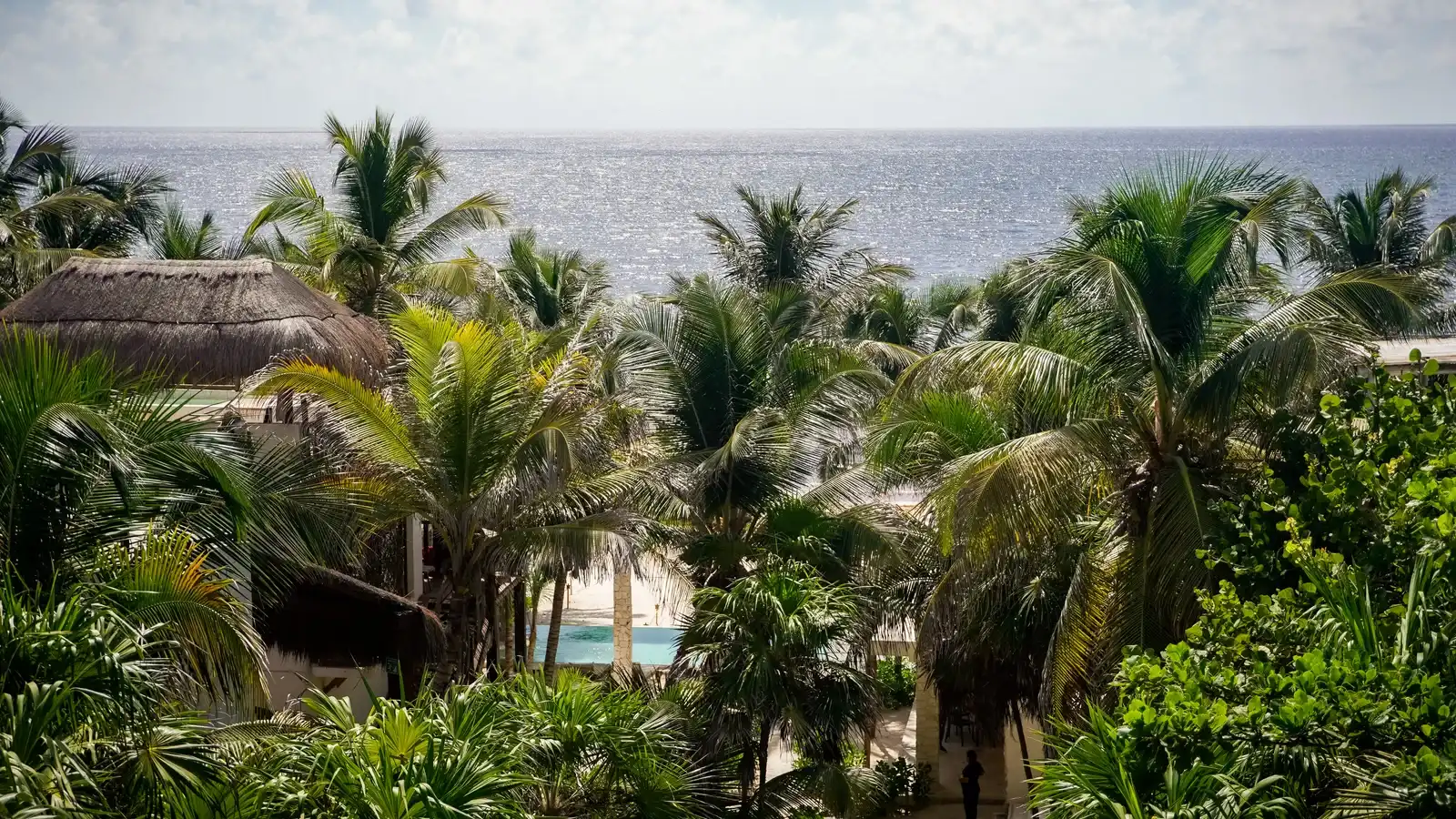 View from above: the hotel palm-thatched roofs among the palm trees, with the sea beyond.