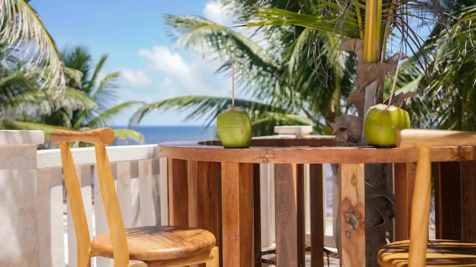 A wooden bar with high stools and green coconuts, facing the palms and the sea.