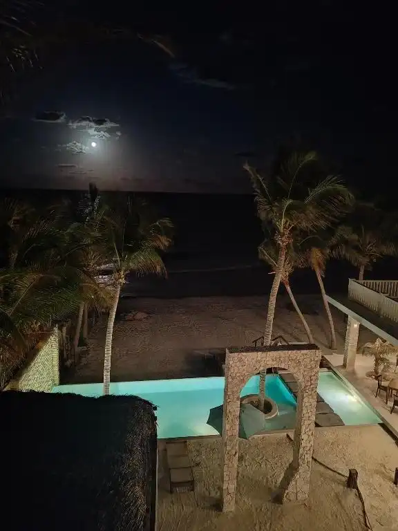 The pool at night, with the palms lit around it.