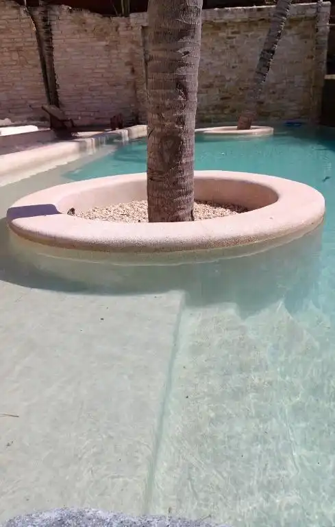 A palm tree planted inside the pool, in its own kerb.
