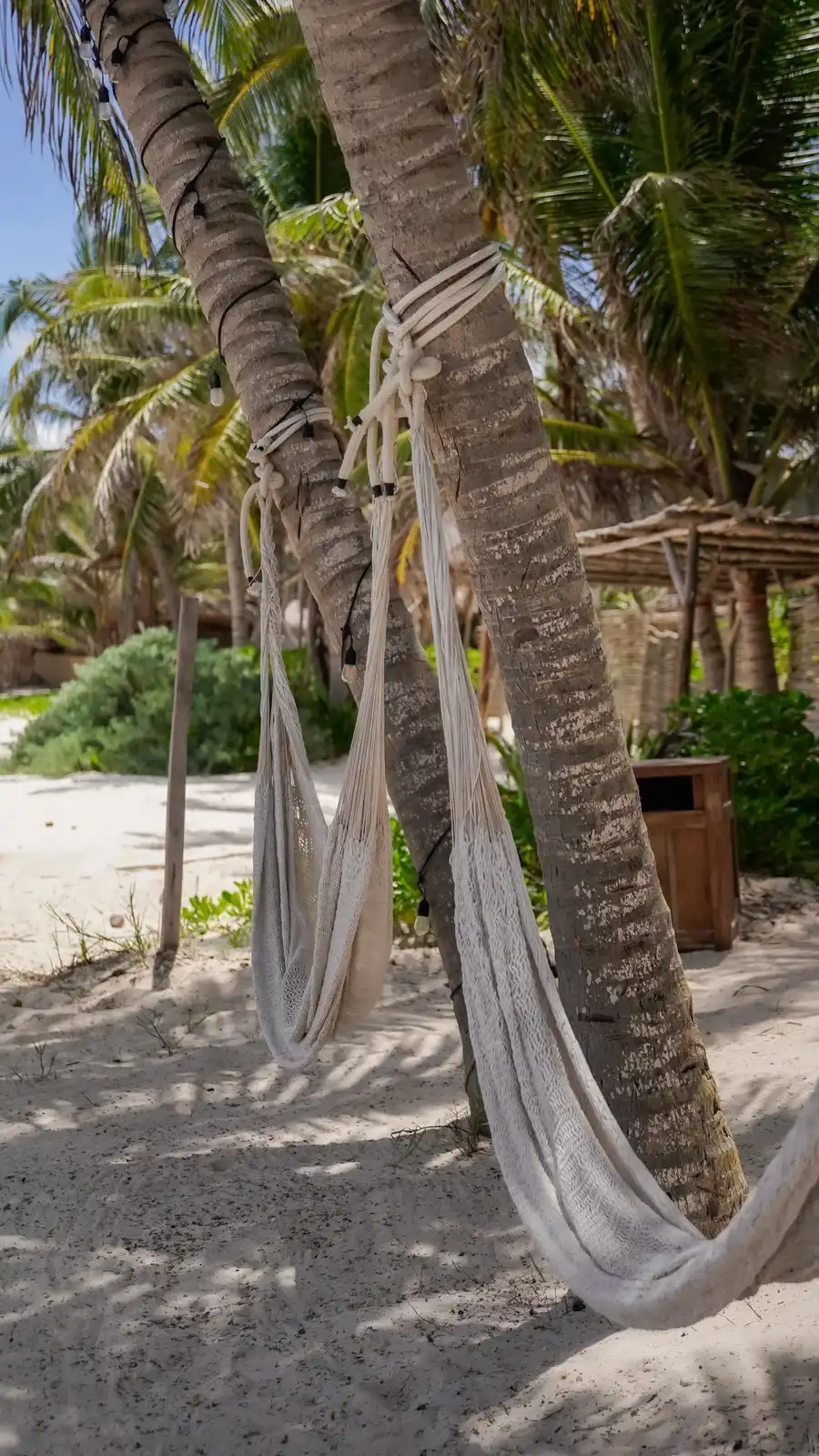 Two net hammocks slung between palm trees, over the sand.