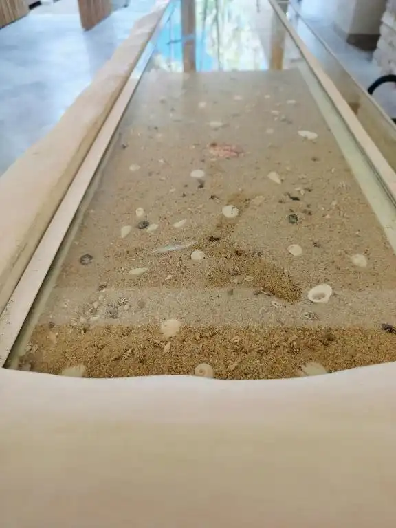 The sandy bottom of the pool, with shells set into it.