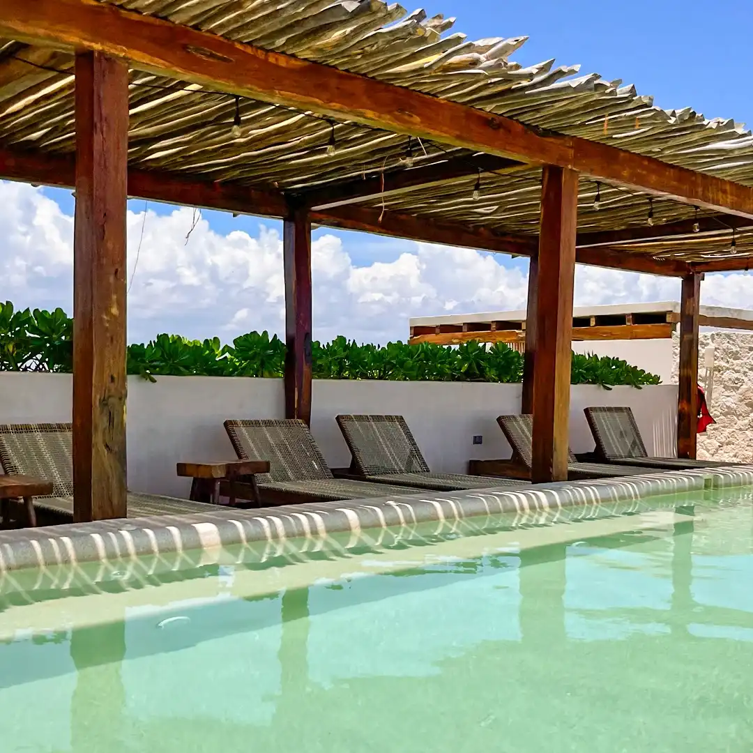 A pool under a timber pergola, with loungers lined along its edge.