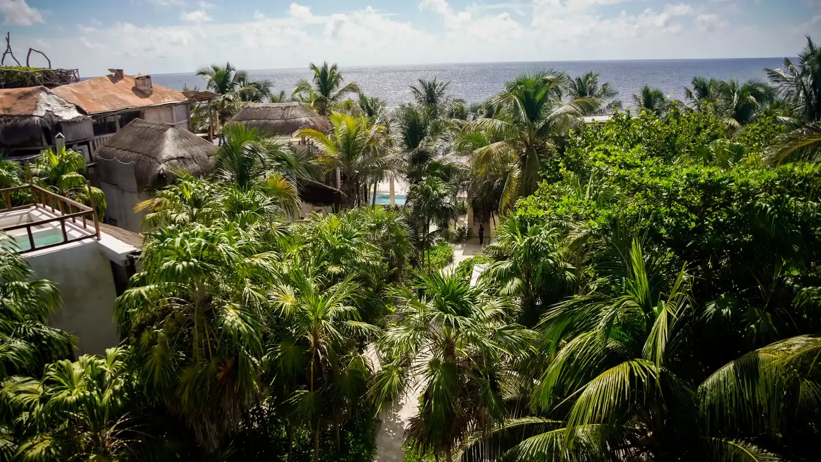 Aerial view of the hotel among the greenery, with the pool showing and the Caribbean beyond.